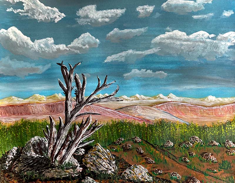 Trees in the Desert 3 by John Franzen